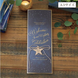 Sky Starry XJCX^[[ Ȏ\A3TCYy10z( y[p[ACe Lbg ev[g EFfBO uC_ p[eB[ 񎟉 iCgEFfBO  )
