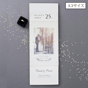 Tracieer Gold dust -g[VA S[h_Xg- Ȏ\A3TCYy10z( y[p[ACe Lbg ev[g EFfBO uC_ p[eB[ 񎟉 g[VO S[