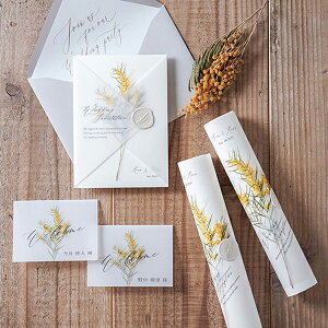 ȎDZbgiVht[ ~Uj y[p[ACe Lbg ev[g EFfBO uC_ p[eB[