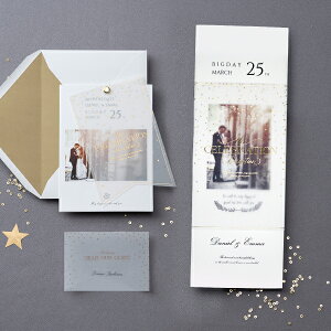 ȎDZbgig[VA S[h_Xgj A3ҏ Ȏ\ ȎD Lbg S[WXGKg