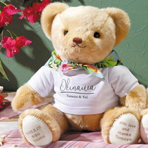 yzEFCgxA L[ j̎q̏dxA EFCgxA efBxA EFCgh[ hJ ev[g  i e ܂ꂽ̑̏d ȑ蕨 