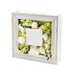 ԕ t[AWS O[iN^j t[ vU[uht[ hCt[ CeAG ^CAbv   F v[g Mtg 蕨 Ԃ a oY