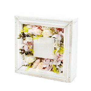 ԕ t[AWS sNi^j t[ vU[uht[ hCt[ CeAG ^CAbv   FB v[g Mtg 蕨 Ԃ a j z