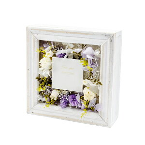 ԕ t[AWS p[vi^j t[ vU[uht[ hCt[ CeAG ^CAbv   FB v[g Mtg 蕨 Ԃ a j 