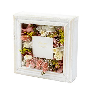 ԕ t[AWS bhi^j t[ vU[uht[ hCt[ CeAG ^CAbv   FB v[g Mtg 蕨 Ԃ a j 