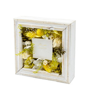 ԕ t[AWS CG[id^j t[ vU[uht[ hCt[ CeAG ^CAbv   FB v[g Mtg 蕨 Ԃ a j 