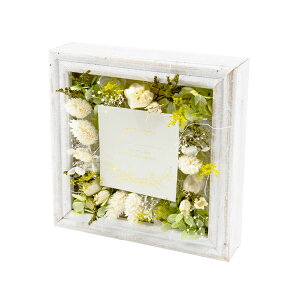 ԕ t[AWL O[iN^j t[ vU[uht[ hCt[ CeAG ^CAbv   F v[g Mtg 蕨 Ԃ a oY