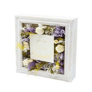 ԕ t[AWL p[vi^j t[ vU[uht[ hCt[ CeAG ^CAbv   FB v[g Mtg 蕨 Ԃ a j 