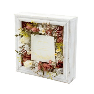 ԕ t[AWL bhi^j t[ vU[uht[ hCt[ CeAG ^CAbv   FB v[g Mtg 蕨 Ԃ a j 