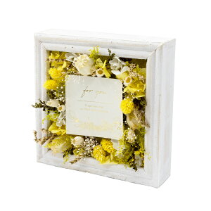 ԕ t[AWL CG[id^j t[ vU[uht[ hCt[ CeAG ^CAbv   FB v[g Mtg 蕨 Ԃ a j 