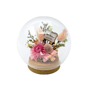 ԕ KXh[AW sNi^j t[ vU[uht[ hCt[ CeAG ^CAbv   FB v[g Mtg 蕨 Ԃ a j 