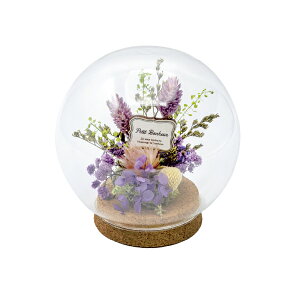 ԕ KXh[AW p[vi^j t[ vU[uht[ hCt[ CeAG ^CAbv   FB v[g Mtg 蕨 Ԃ a j