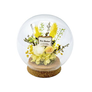 ԕ KXh[AW CG[id^j t[ vU[uht[ hCt[ CeAG ^CAbv   FB v[g Mtg 蕨 Ԃ a j