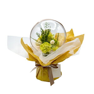 ԕ hCt[o[u[P O[iN^j t[ vU[uht[ hCt[ CeAG ^CAbv   F v[g Mtg 蕨 Ԃ 