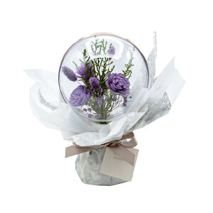 ԕ hCt[o[u[P p[vi^j t[ vU[uht[ hCt[ CeAG ^CAbv   FB v[g Mtg 蕨 Ԃ a