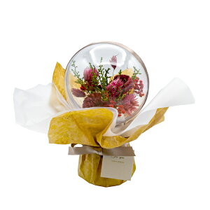 ԕ hCt[o[u[P bhi^j t[ vU[uht[ hCt[ CeAG ^CAbv   FB v[g Mtg 蕨 Ԃ a