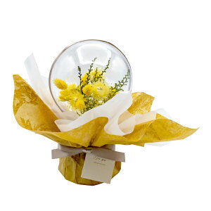 30|Cgő10{ԕ hCt[o[u[P CG[id^j t[ vU[uht[ hCt[ CeAG ^CAbv   FB v[