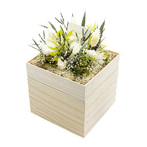 ԕ ˔AW O[iN^j t[ vU[uht[ hCt[ CeAG ^CAbv   F v[g Mtg 蕨 Ԃ a oYj 