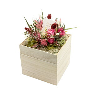 ԕ ˔AW bhi^j t[ vU[uht[ hCt[ CeAG ^CAbv   FB v[g Mtg 蕨 Ԃ a j j