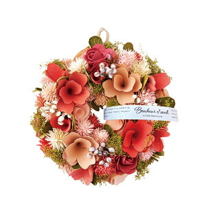 t[[XS sN  t[ [Xu[P CeAG Ǐ   FB v[g Mtg 蕨 Ԃ j EFfBO  EFJ[X  lC