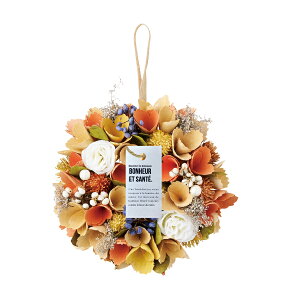 ~G[[XS JtCG[  t[ [Xu[P CeAG Ǐ   FB v[g Mtg 蕨 Ԃ j EFfBO  EFJ[X 