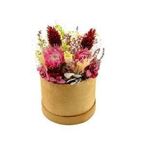 ԕ |vAW ^ Eh{bNX t[ vU[uht[ hCt[ CeAG ^CAbv   FB v[g Mtg 蕨 Ԃ a j