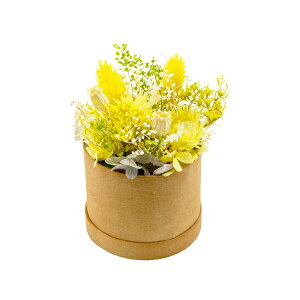 ԕ |vAW d^ Eh{bNX t[ vU[uht[ hCt[ CeAG ^CAbv   FB v[g Mtg 蕨 Ԃ a j