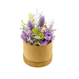 ԕ |vAW ^ Eh{bNX t[ vU[uht[ hCt[ CeAG ^CAbv   FB v[g Mtg 蕨 Ԃ a j