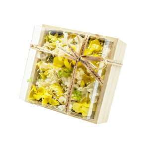 ԕ ̂܂܏˔AW d^ t[ vU[uht[ hCt[ CeAG ^CAbv   FB v[g Mtg 蕨 Ԃ a j J