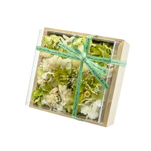 ԕ ̂܂܏˔AW N^ t[ vU[uht[ hCt[ CeAG ^CAbv   FB v[g Mtg 蕨 Ԃ a j J