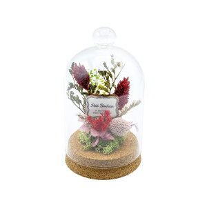 ԕ RNh[AW ^ t[ vU[uht[ hCt[ CeAG ^CAbv   FB v[g Mtg 蕨 Ԃ a j JXj 