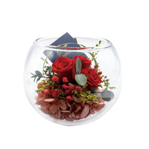 ԕ KXAW ^ t[ vU[uht[ hCt[ CeAG ^CAbv   FB v[g Mtg 蕨 Ԃ a j JXj ij