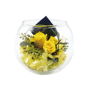 ԕ KXAW d^ t[ vU[uht[ hCt[ CeAG ^CAbv   FB v[g Mtg 蕨 Ԃ a j JXj ij