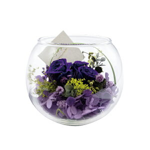 ԕ KXAW ^ t[ vU[uht[ hCt[ CeAG ^CAbv   FB v[g Mtg 蕨 Ԃ a j JXj ij