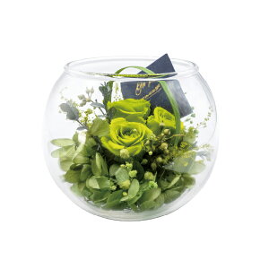 ԕ KXAW N^ t[ vU[uht[ hCt[ CeAG ^CAbv   FB v[g Mtg 蕨 Ԃ a j JXj ij