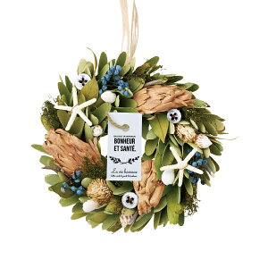 T}[[X VF[XM i`  t[ [Xu[P CeAG Ǐ   FB v[g Mtg 蕨 Ԃ j EFfBO  EFJ[X 