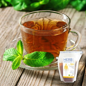 30日限定ポイント最大10倍★プチギフトHERB BREWER リラックス(プチギフト 500円 退職 ハーブティー ドリンク 飲み物 お礼 お返し 歓送迎会 異動 転職 産休 結婚式 二次会 ウェディング 披露宴 P