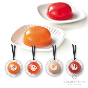 プチギフトPremiumフルーツゼリー1個(プチギフト 退職 お菓子 お礼 お返し 歓送迎会 異動 転職 産休 結婚式 二次会 ウェディング 披露宴 P★パーティ ノベルティ 部活 卒業 入学 子供会 子ども