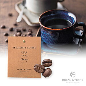 v`MtgSpeciality Coffee 03 RX^J(v`Mtg ސE R[q[ ݕ hN  Ԃ } ٓ ]E Yx  񎟉 EFfBO I Pp[eB mxeB  
