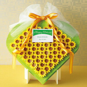 v`MtgyzЂ܂{bNX60Zbg( v`Mtg 񎟉 EFfBO I  NbL[ IuWF^Cv)