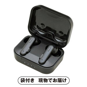 yrSẑ TWS BluetoothCziubNj(ii 񎟉 I  ] YN VN I ГCxg ^ St Ry rS NCY  ژ^ pl 