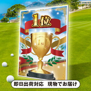 30|Cgő10{StRyppl@1ʁi񎟉 ii Ry YN 񎟉 St Cxg I rS ii ܕi j