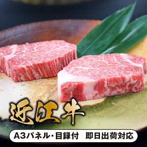 yzypzߍ]Xe[LHה׃ZbgyplEژ^tz