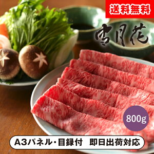 yzጎ ㋍T[CĂpXCX800gyplEژ^tzi񎟉 ii Ry VN YN 񎟉 St Cxg I rS ii ܕij