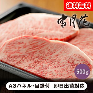 yzጎ јaT[CXe[L500gyplEژ^tzi񎟉 ii Ry VN YN 񎟉 St Cxg I rS ii ܕij