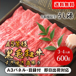 yzaYĂ~胂iV[gj600gyplEژ^tz(  St Ry ii ܕi plt ژ^t A5N јa  } ʉ ГCx