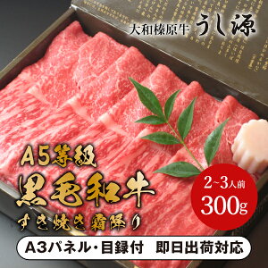 yzaYĂ~胂iV[gj300gyplEژ^tz(  St Ry ii ܕi plt ژ^t A5N јa  } ʉ ГCx