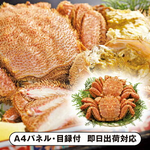 yzkCY{Cт2AyplEژ^tz(ii 񎟉 I  ] YN VN I ГCxg ^ St Ry rS NCY  ژ^ pl Hi 