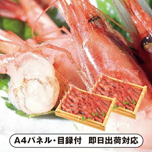 yz{C ÃGryplEژ^tz(ii 񎟉 I  ] YN VN I ГCxg ^ St Ry rS NCY  ژ^ pl iYnO