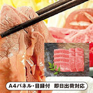 yzߍ]u쉮v ߍ]₫EԂԗpyplEژ^tz(ii 񎟉 I  ] YN VN I ГCxg ^ St Ry rS N